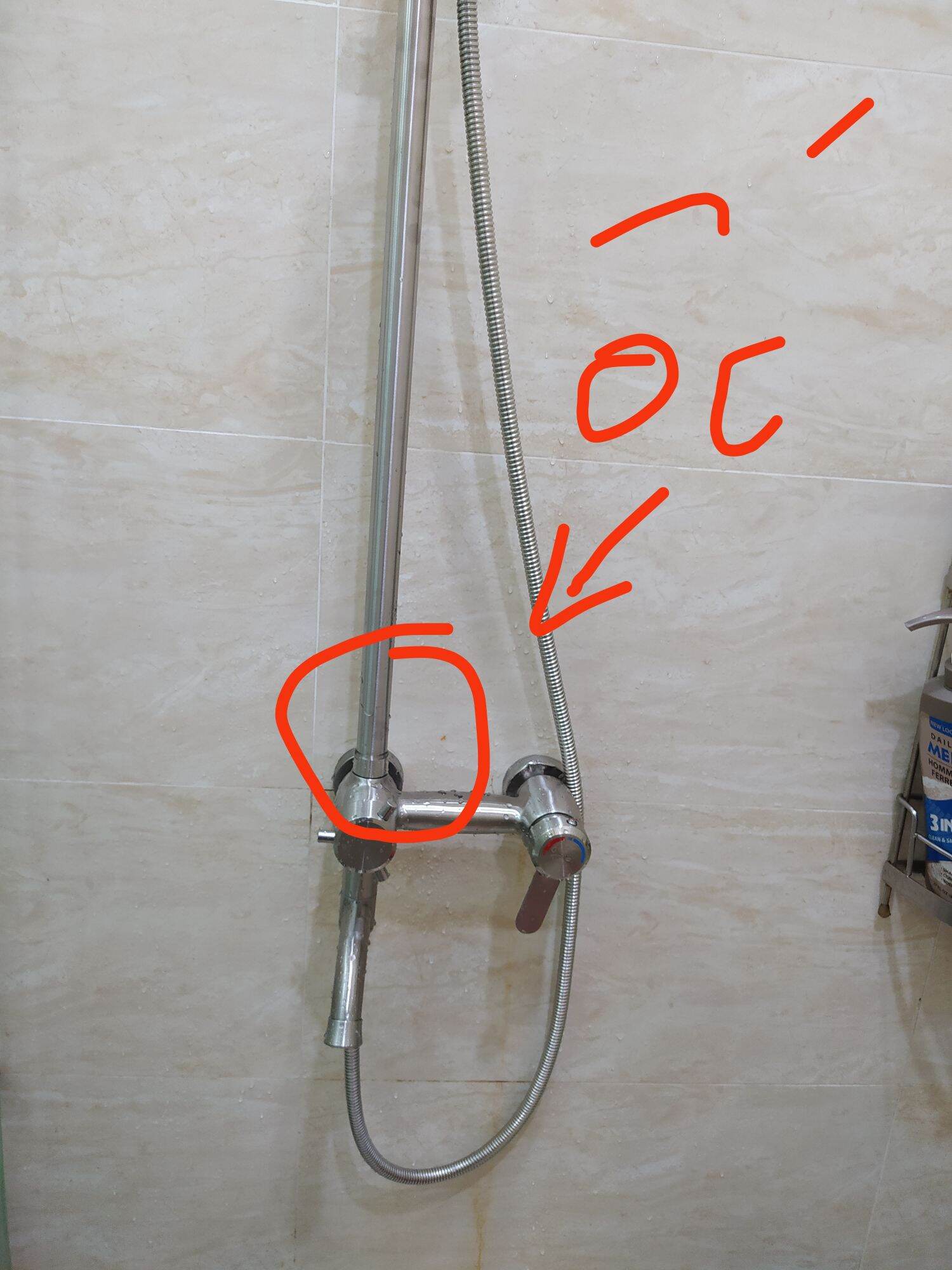 Ốc chân cần sen cây