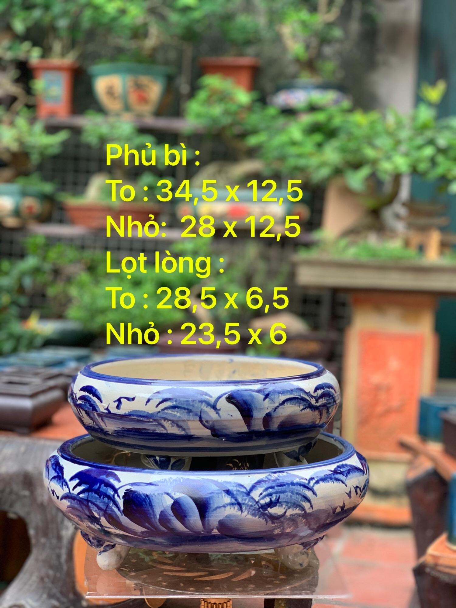 Chậu cảnh trồng cây bonsai