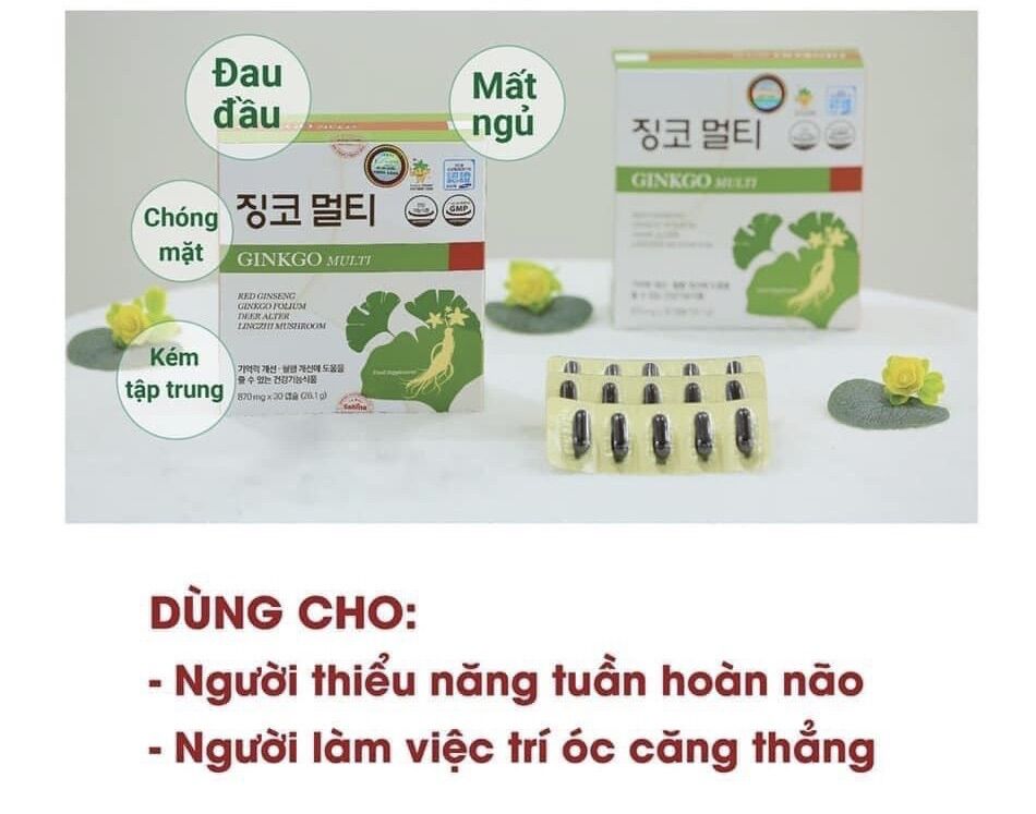 Bổ não Ginko Multi