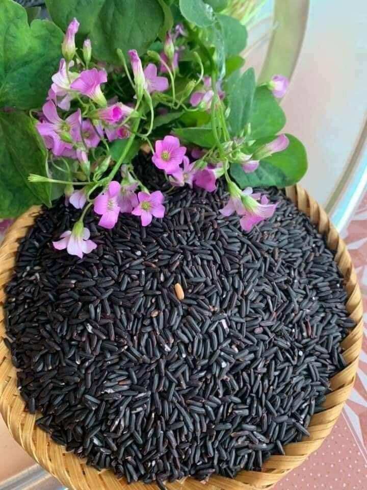 GẠO TÍM THẢO DƯỢC còn gọi là GẠO ĐEN-GẠO HOÀNG ĐẾ gói/3kg