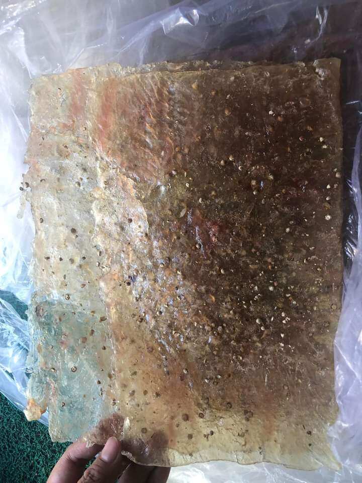 500g khô cá thiều Phú Quốc