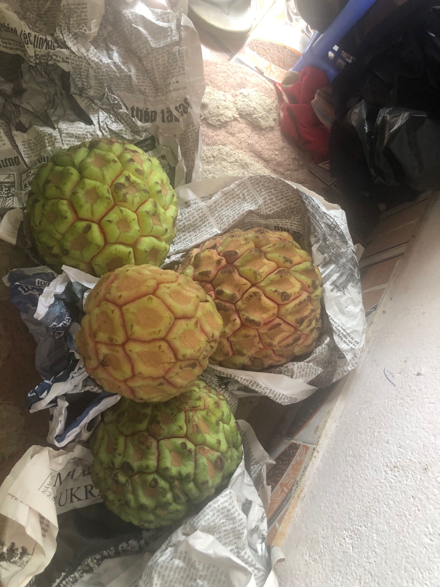 NA RỪNG TÂY BẮC 1kg