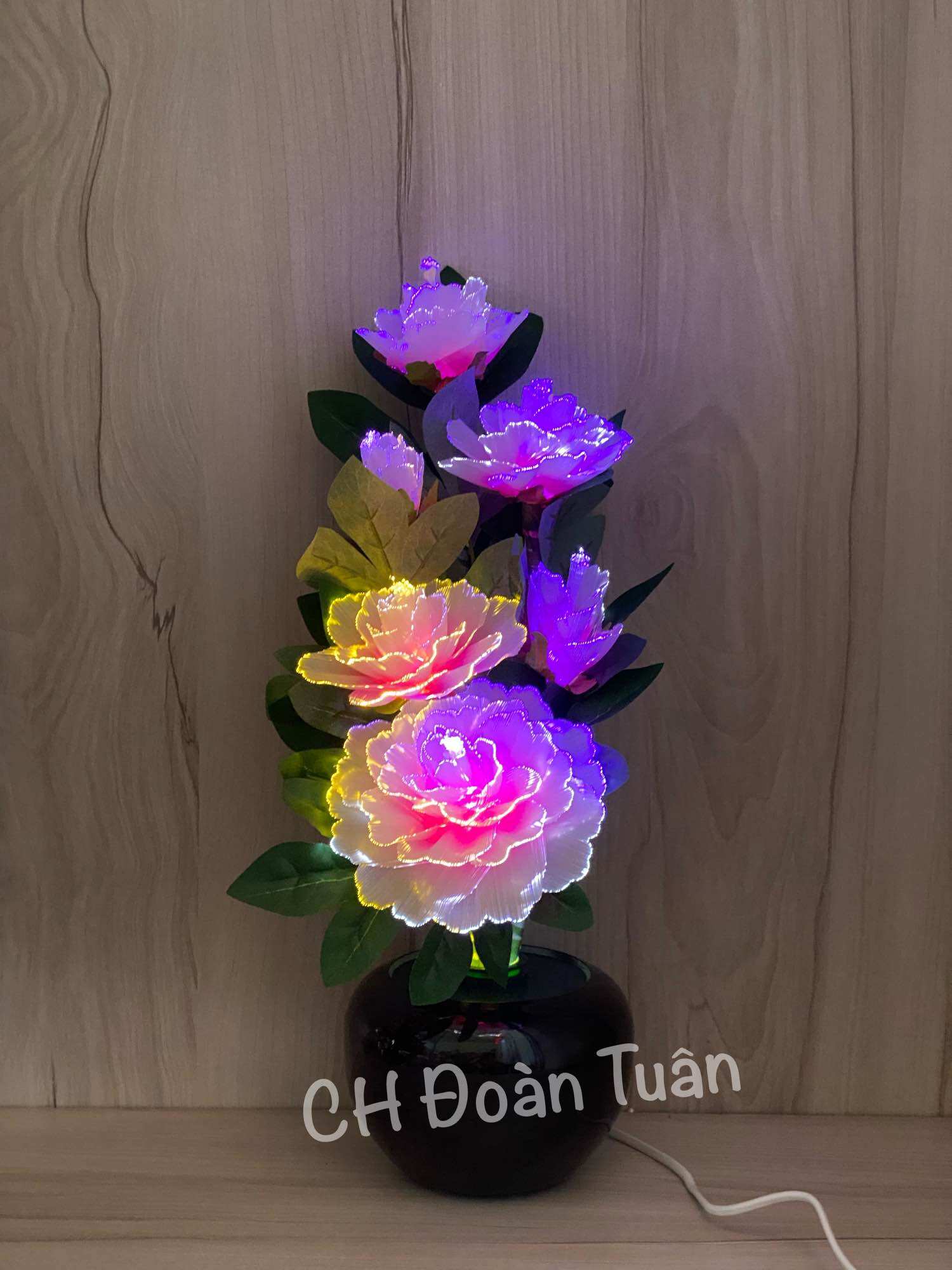 Chậu hoa đèn LED để bàn trang trí - đèn bình hoa thủy tinh