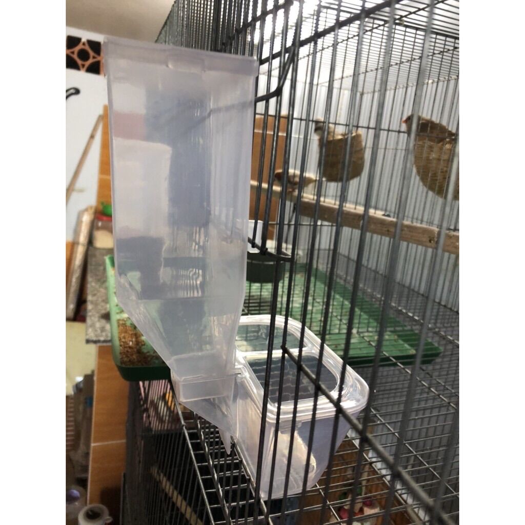 Máng ăn tự động cho chim nhỏ, gà, vẹt - 3