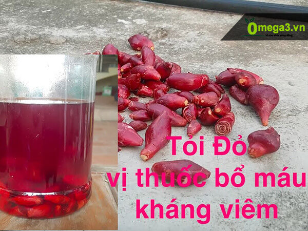 Combo 100 củ giống , cây giống sâm đại hành ( tỏi đỏ)