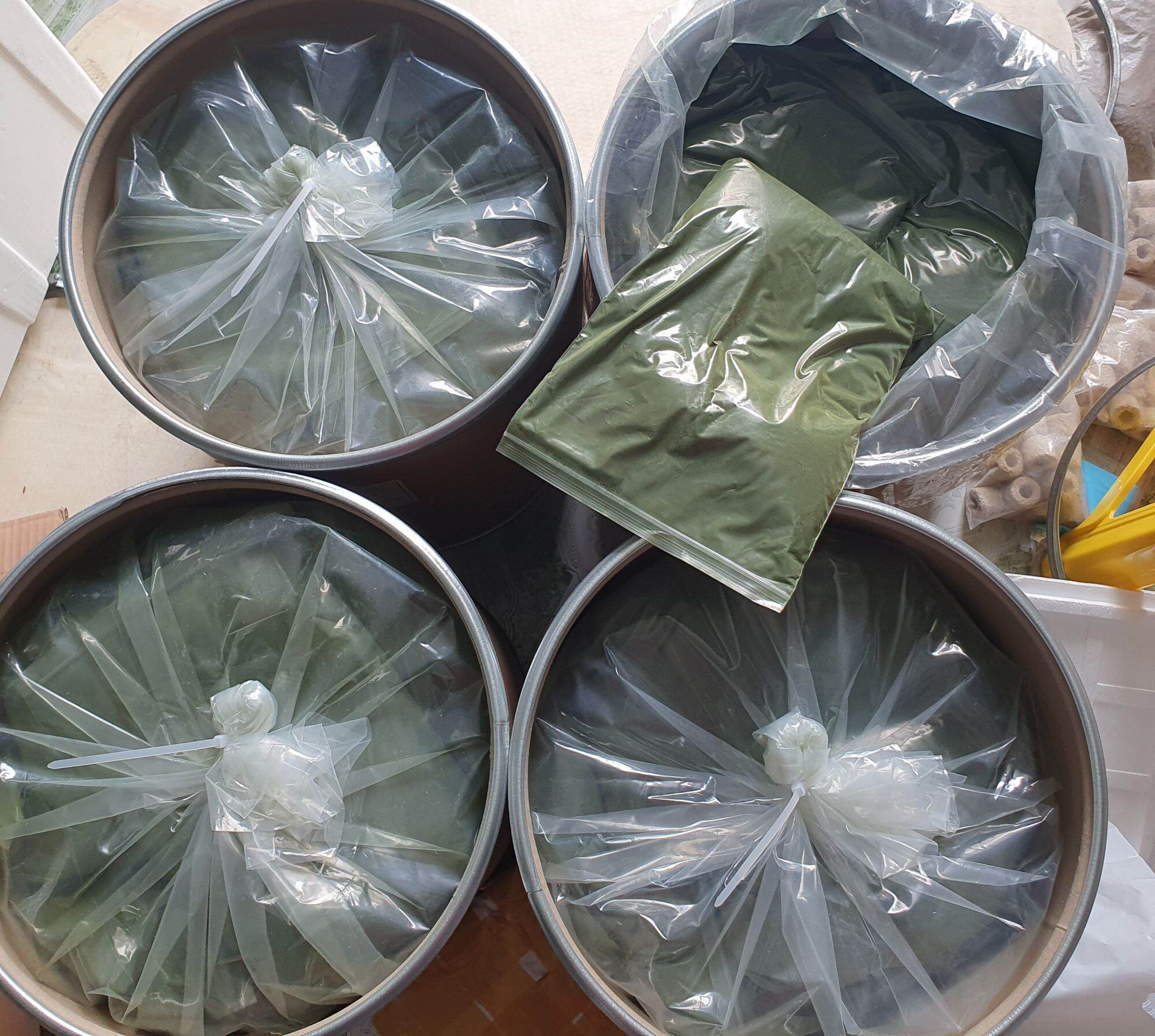 Tảo Bột (1KG) : Thức Ăn Artemia,  BoBo
