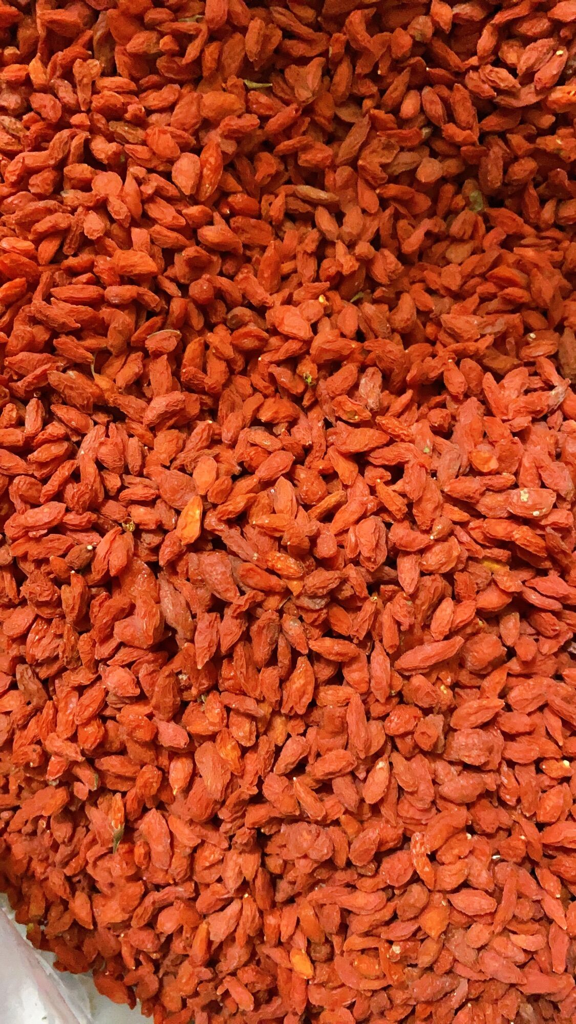 500G Kỷ tử Ninh Hạ siêu ngon