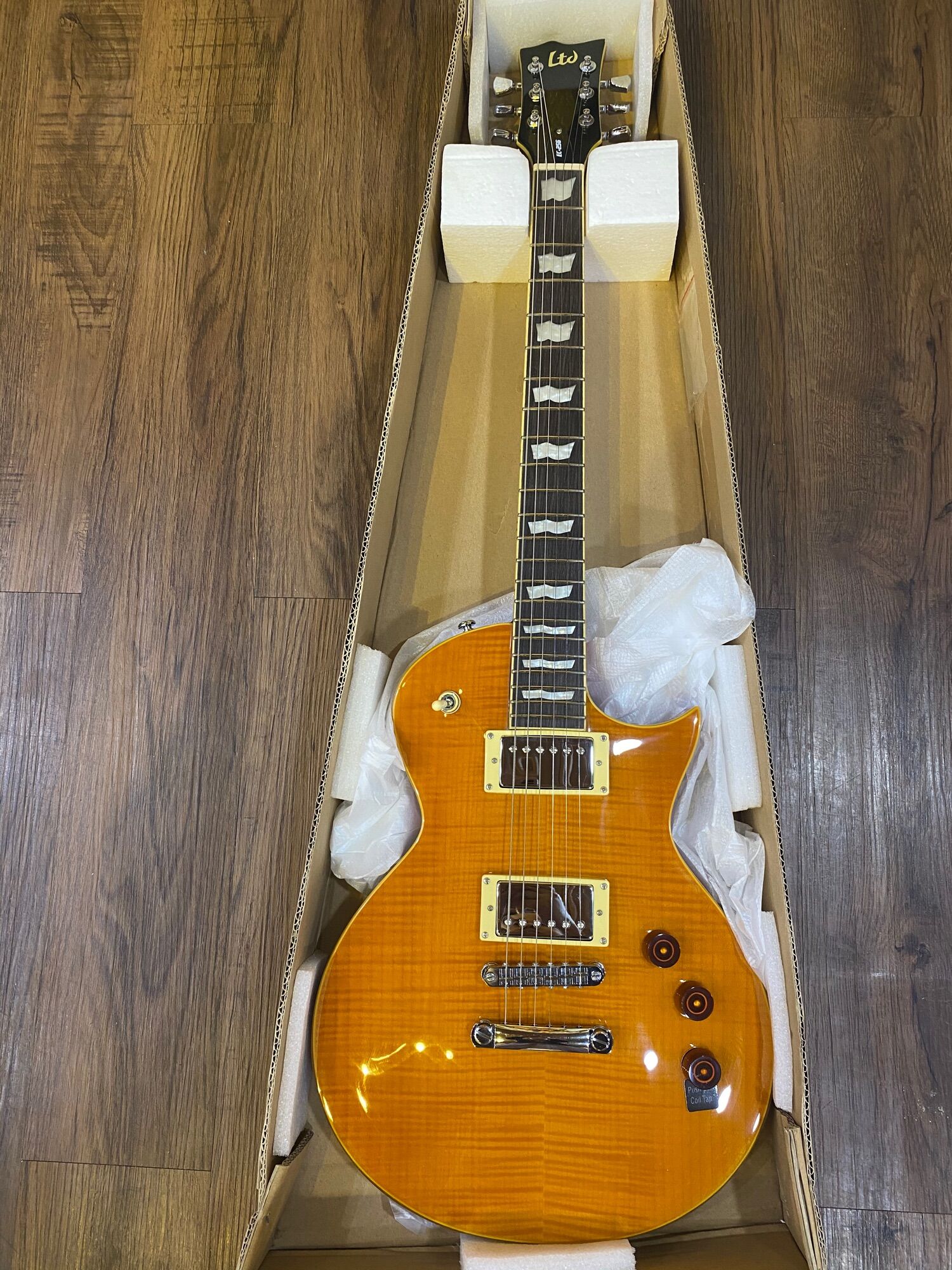 Đàn guitar điện LTD EC-256 chính hãng