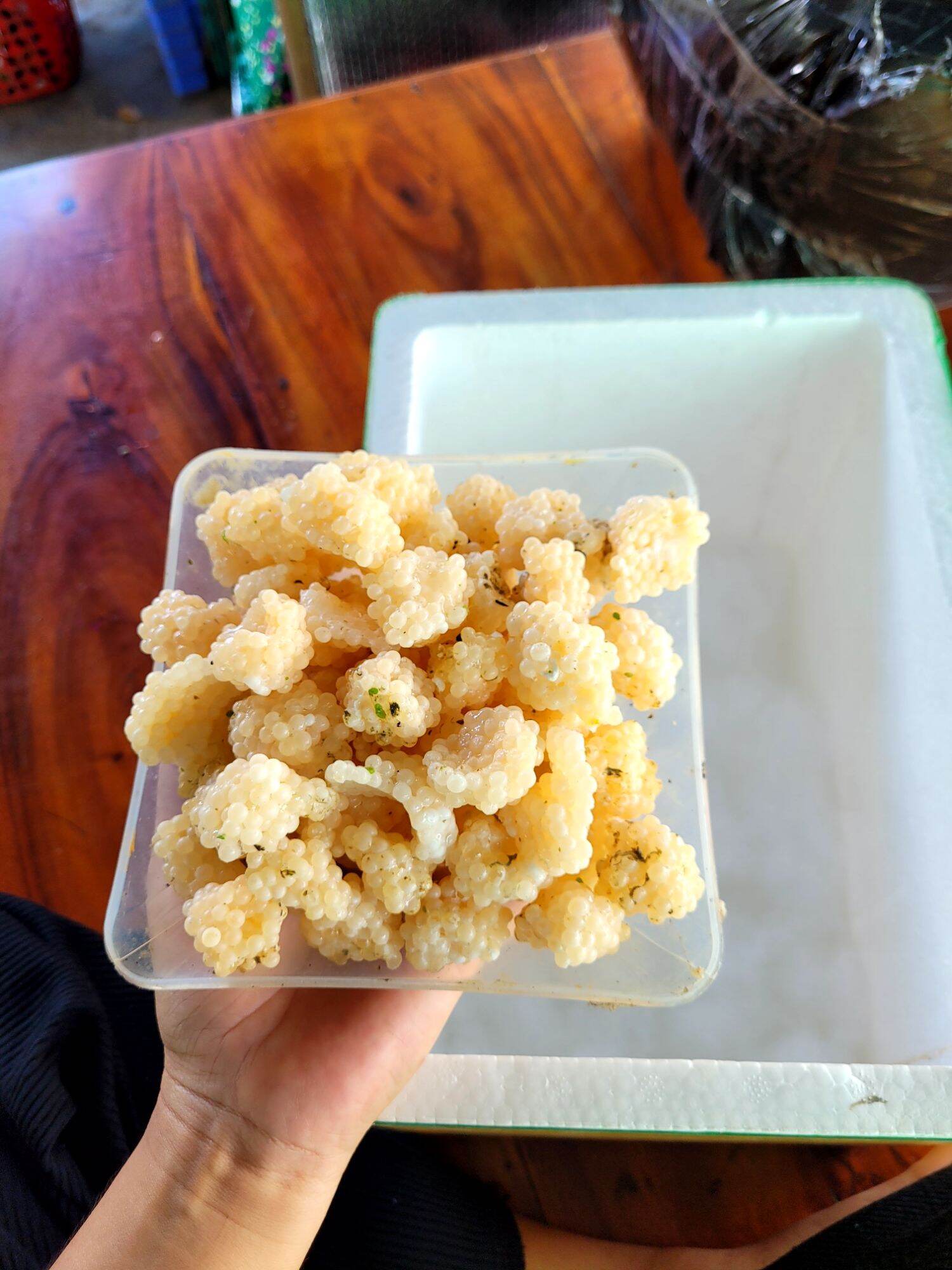 600g trứng ốc bươu đen