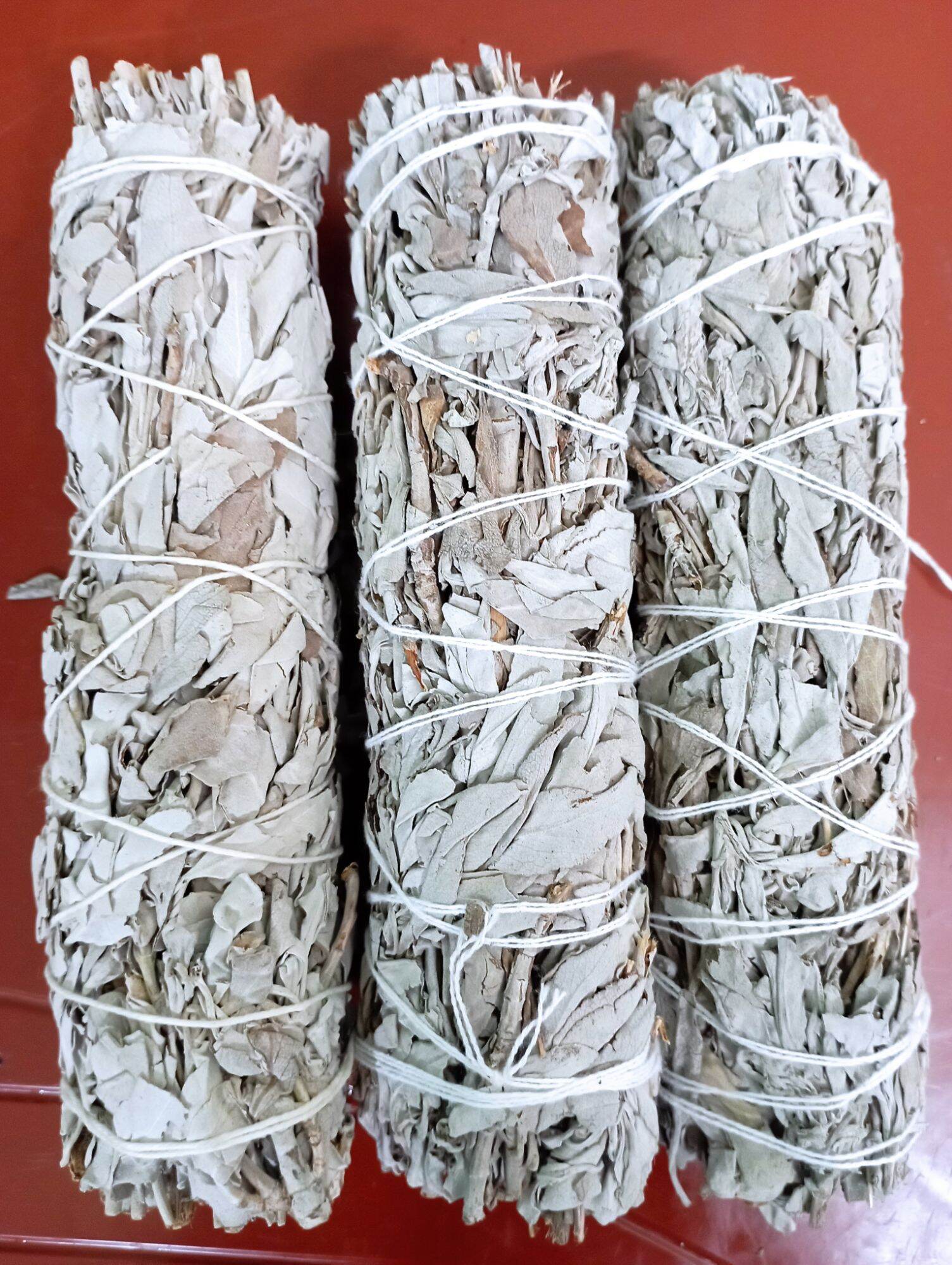 Xô thơm trắng  Sage White