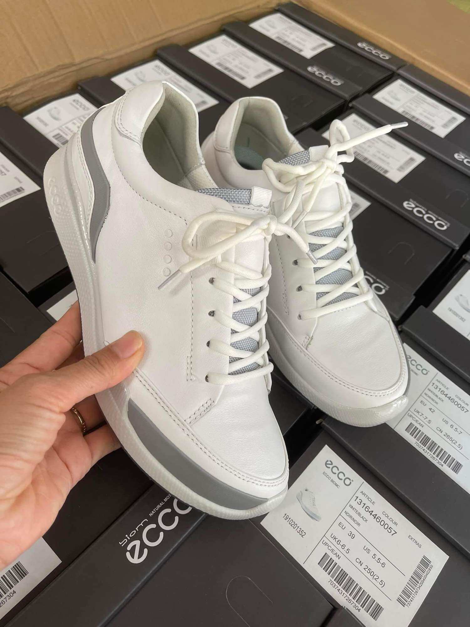 Giày Golf Ecco nam mẫu mới dây buộc