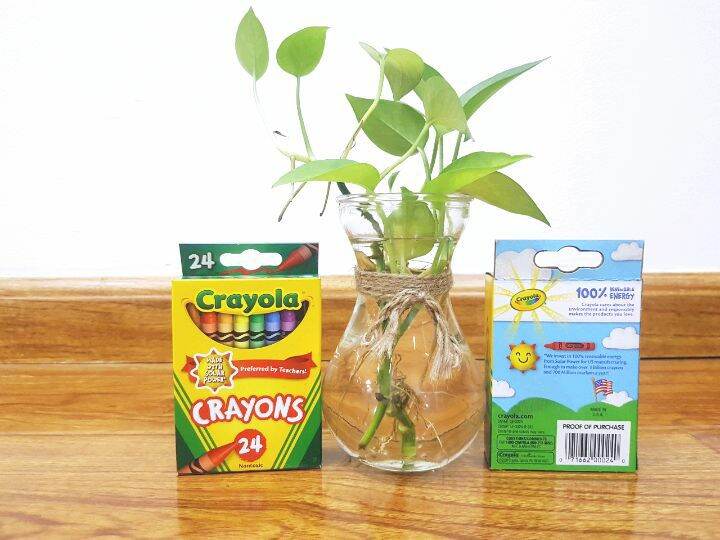 Bộ bút sáp 24 màu Crayola - 523024