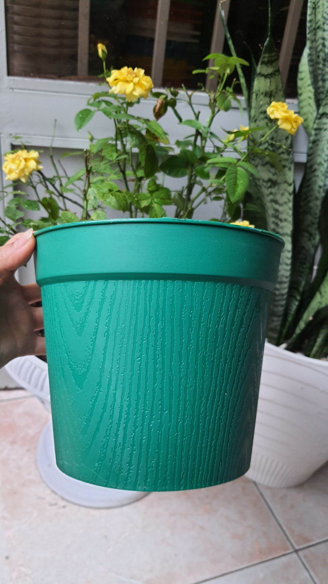 chậu nhựa vân gỗ size 18cm