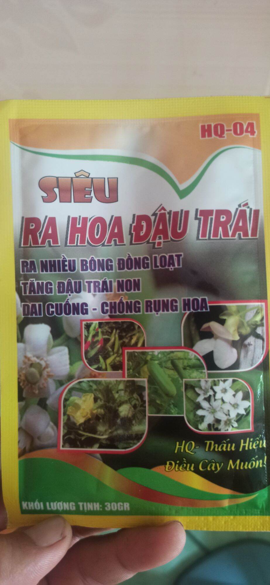 Combo1 Chăm sóc Mai Vàng Tết, hoa kiểng