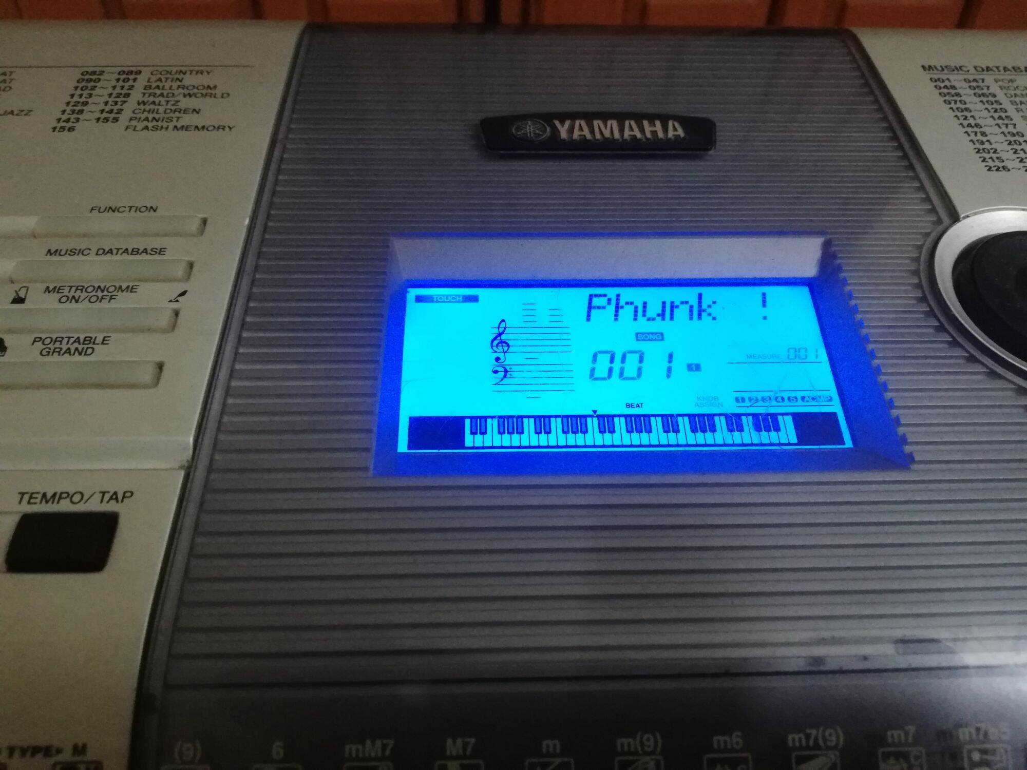 Đàn Organ Yamaha PSR e403
