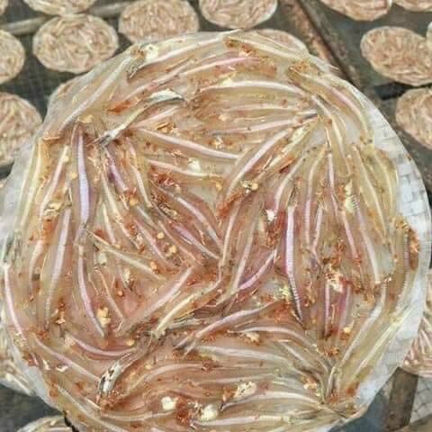 Bánh tráng cá cơm 500g
