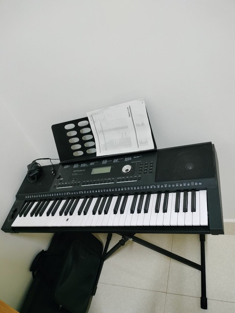 Đàn Organ Roland Ex-20