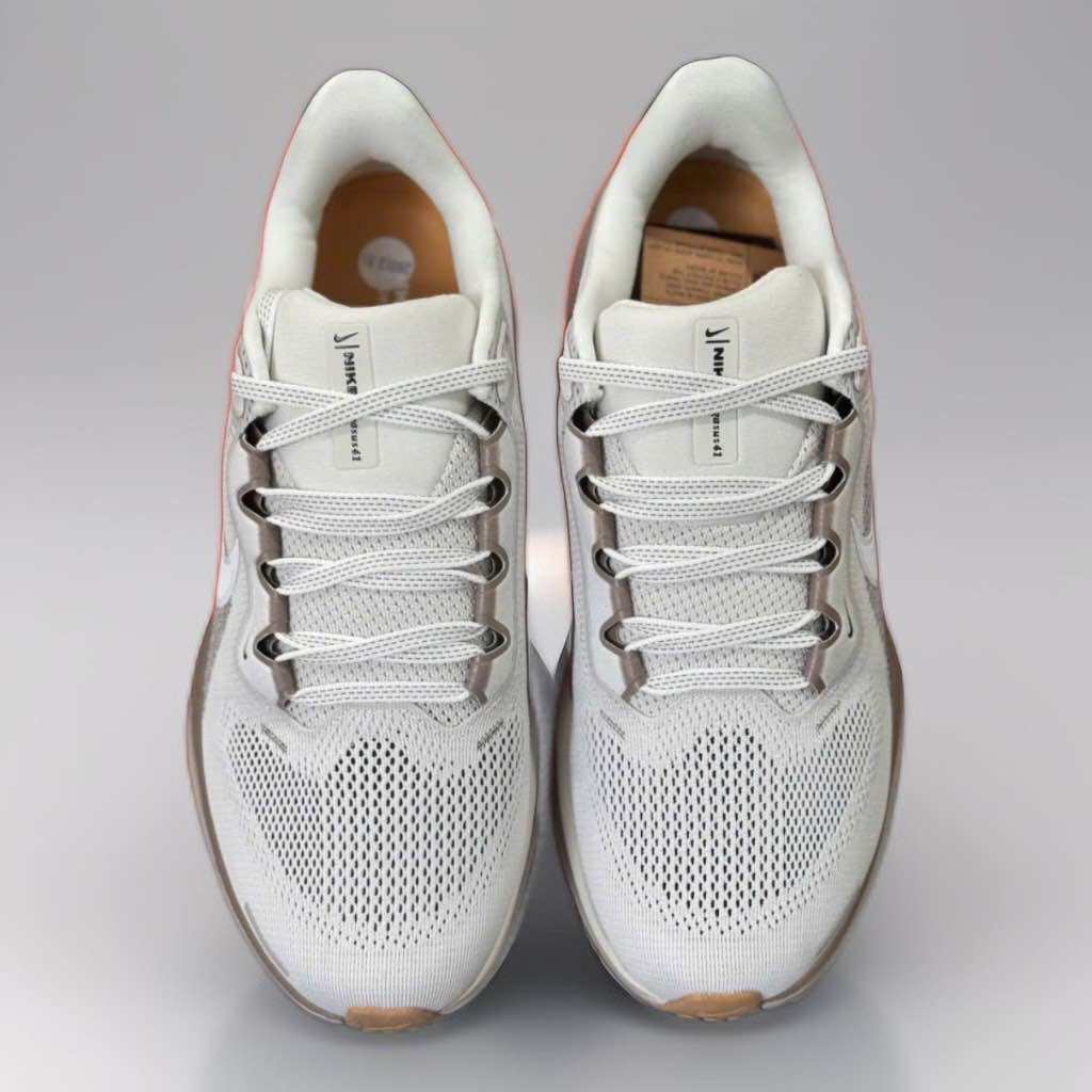 Giày Chạy bộ Nike pagesus 41. 