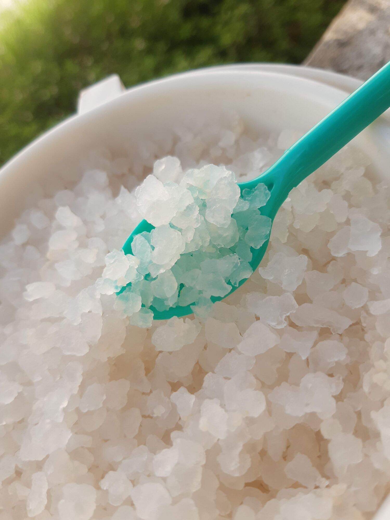 nấm nước kefir( water kefir) đã thuần dừa ( 60gr)