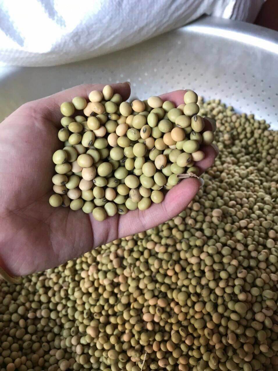 1kg đậu nành quê thuần chủng