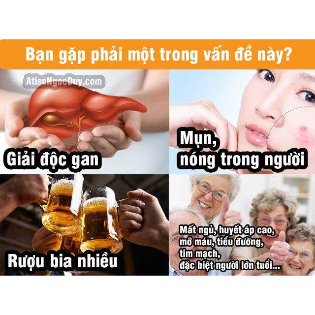 Trà túi lọc atiso Ngọc Duy ( Loại 50 túi lọc)