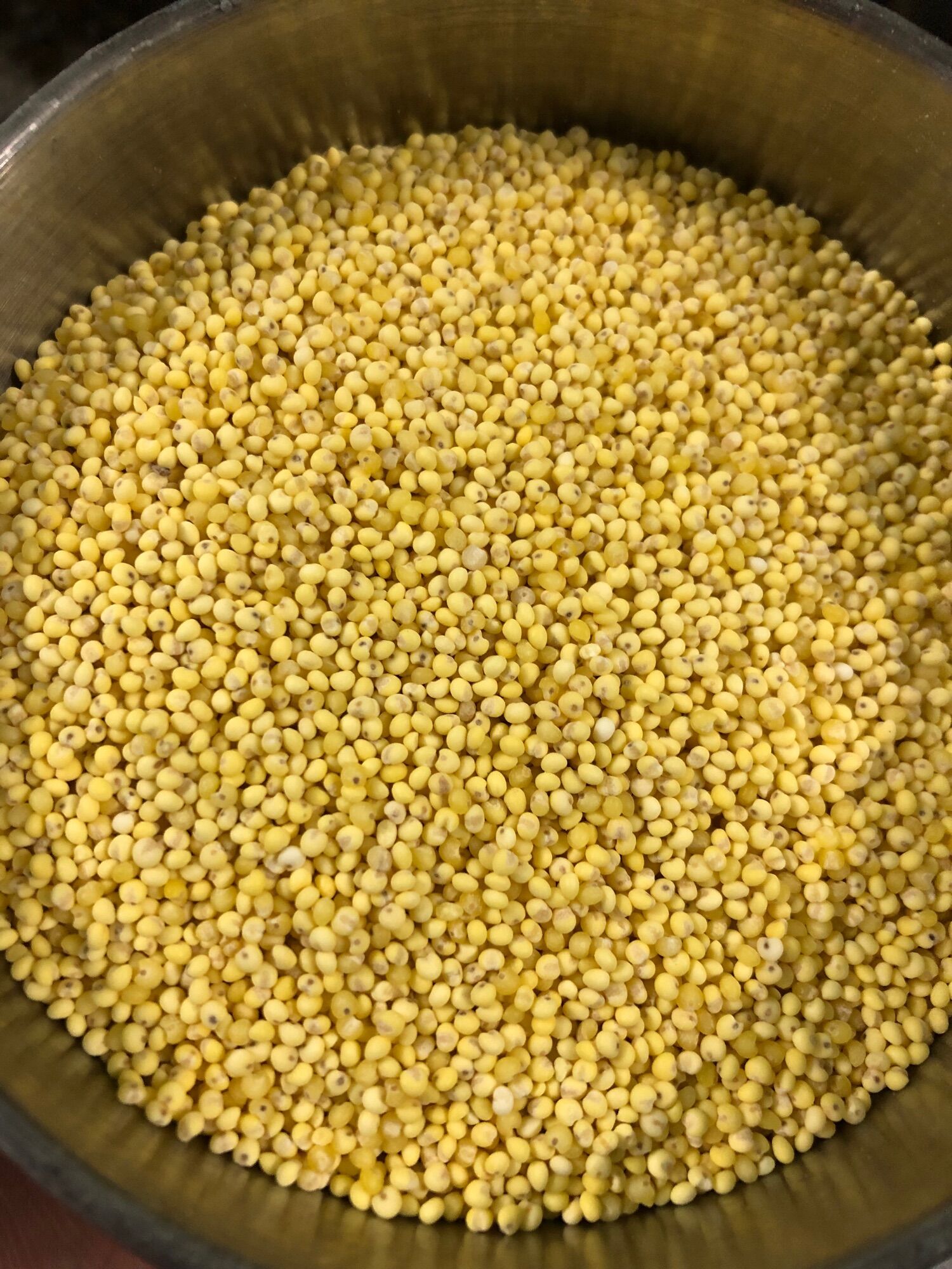 Kê nếp vàng (kê tách vỏ)