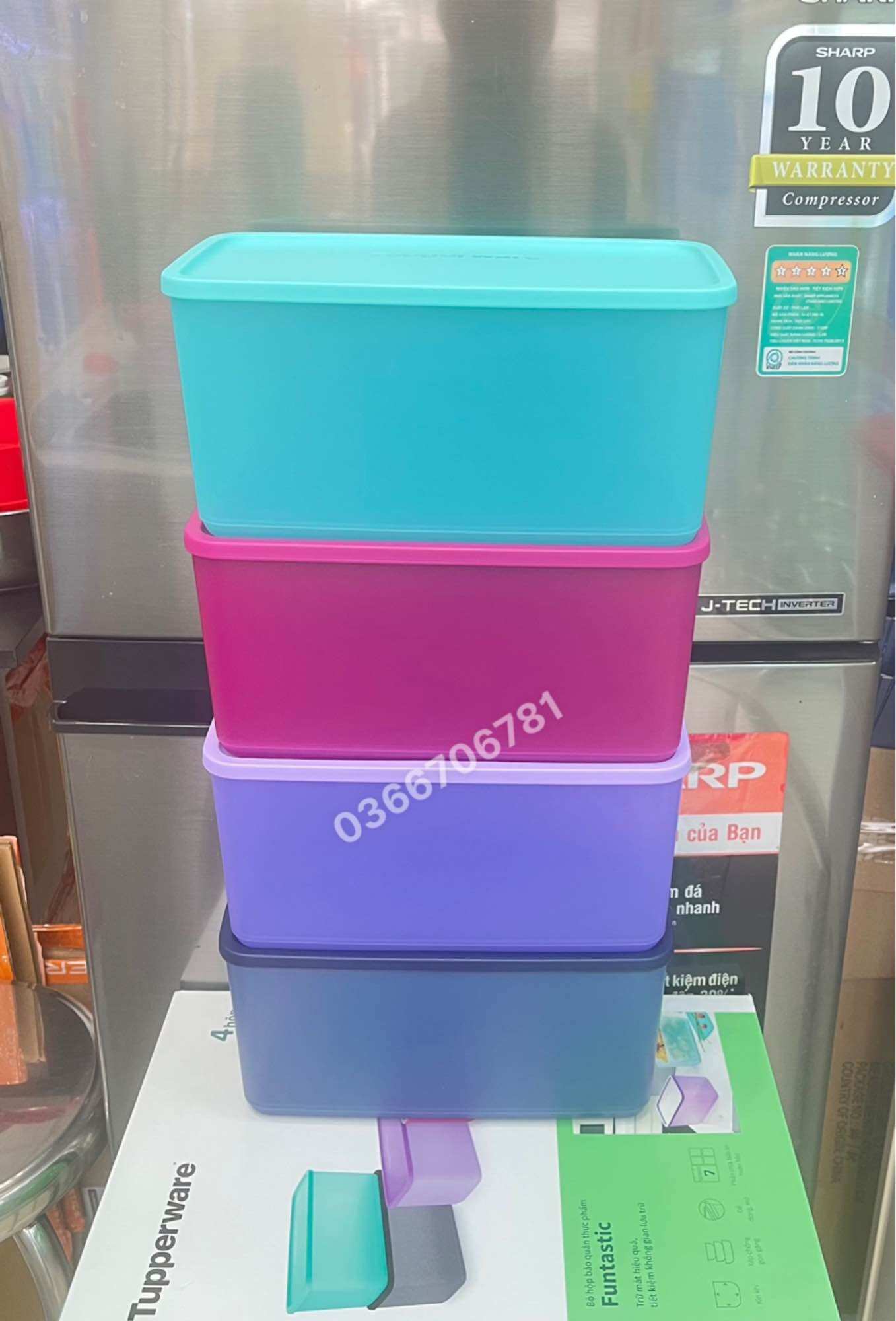 Bộ Hộp Trữ Mát Funtastic 3.1L (MÀU NGẪU NHIÊN)
