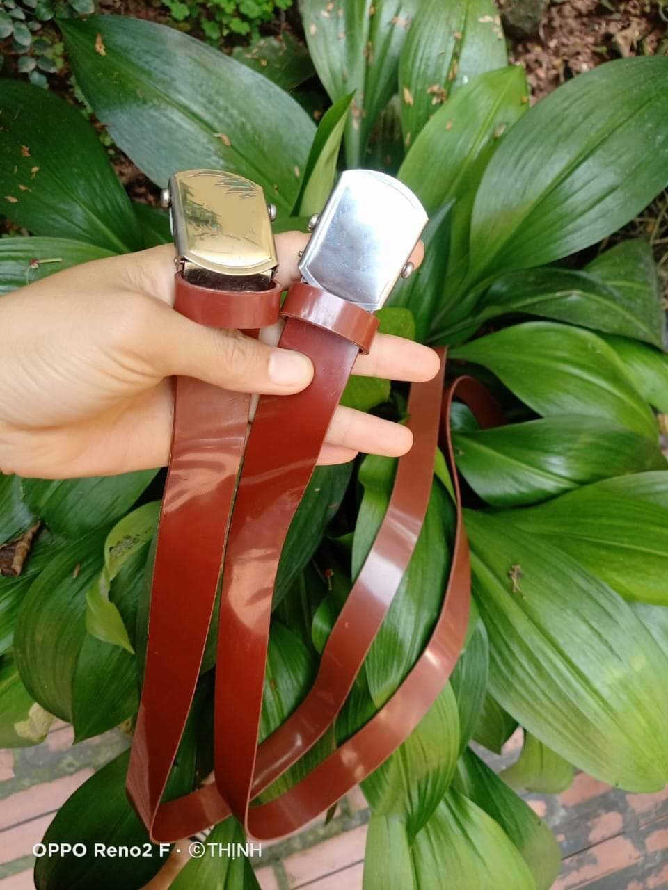 Dây thắt lưng (dây nịt) nhựa đỏ