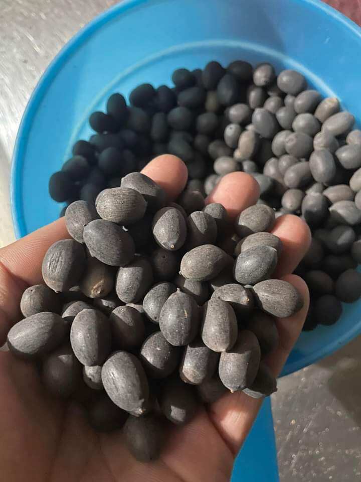 Hạt sen Đồng Tháp 500gr nguyên vỏ Hạt to tròn