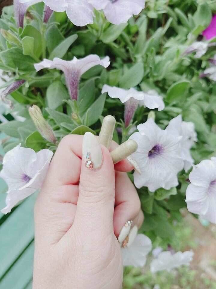 giảm  cân drcell thanh lăn cao lá rừng  (giảm cân an toàn )