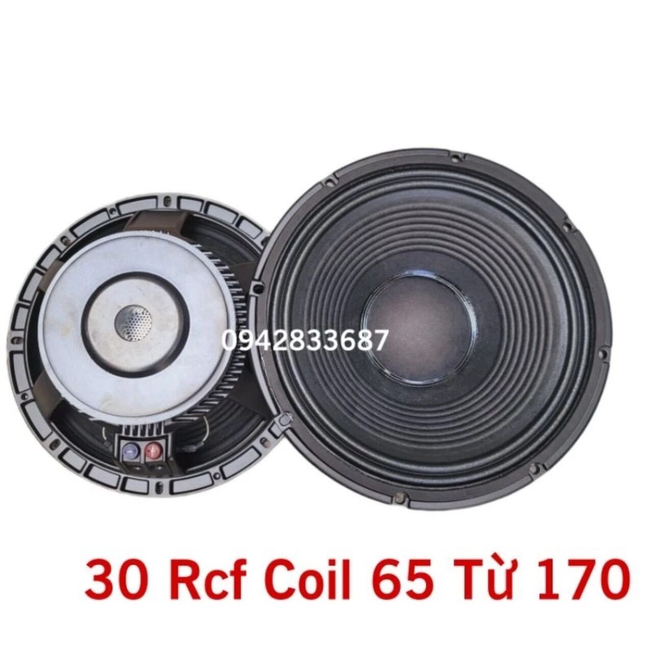 Bass 30 rcf coil 65 từ 170