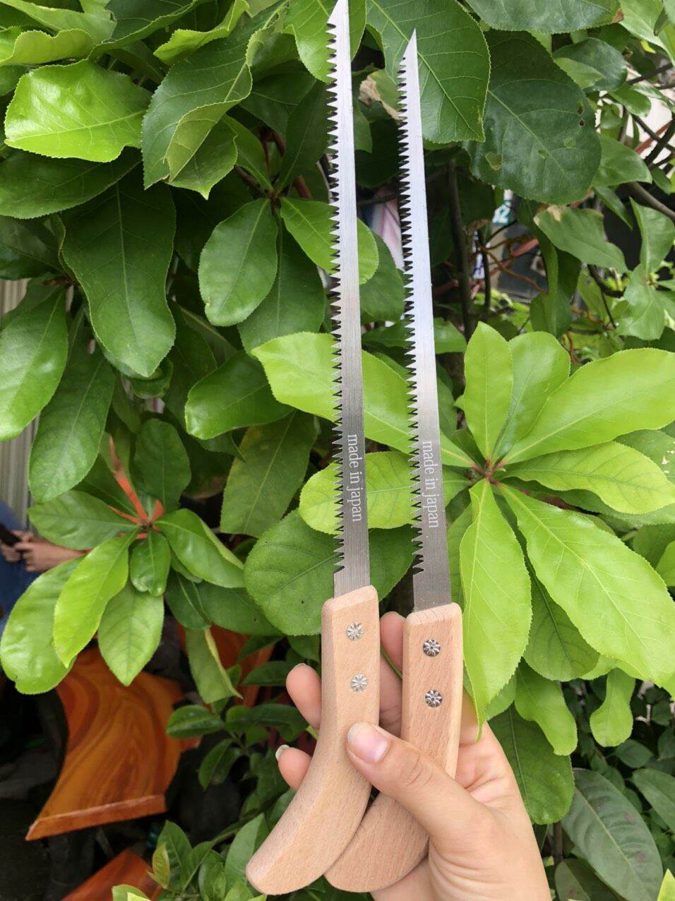 cưa lách cán gỗ sắc bén