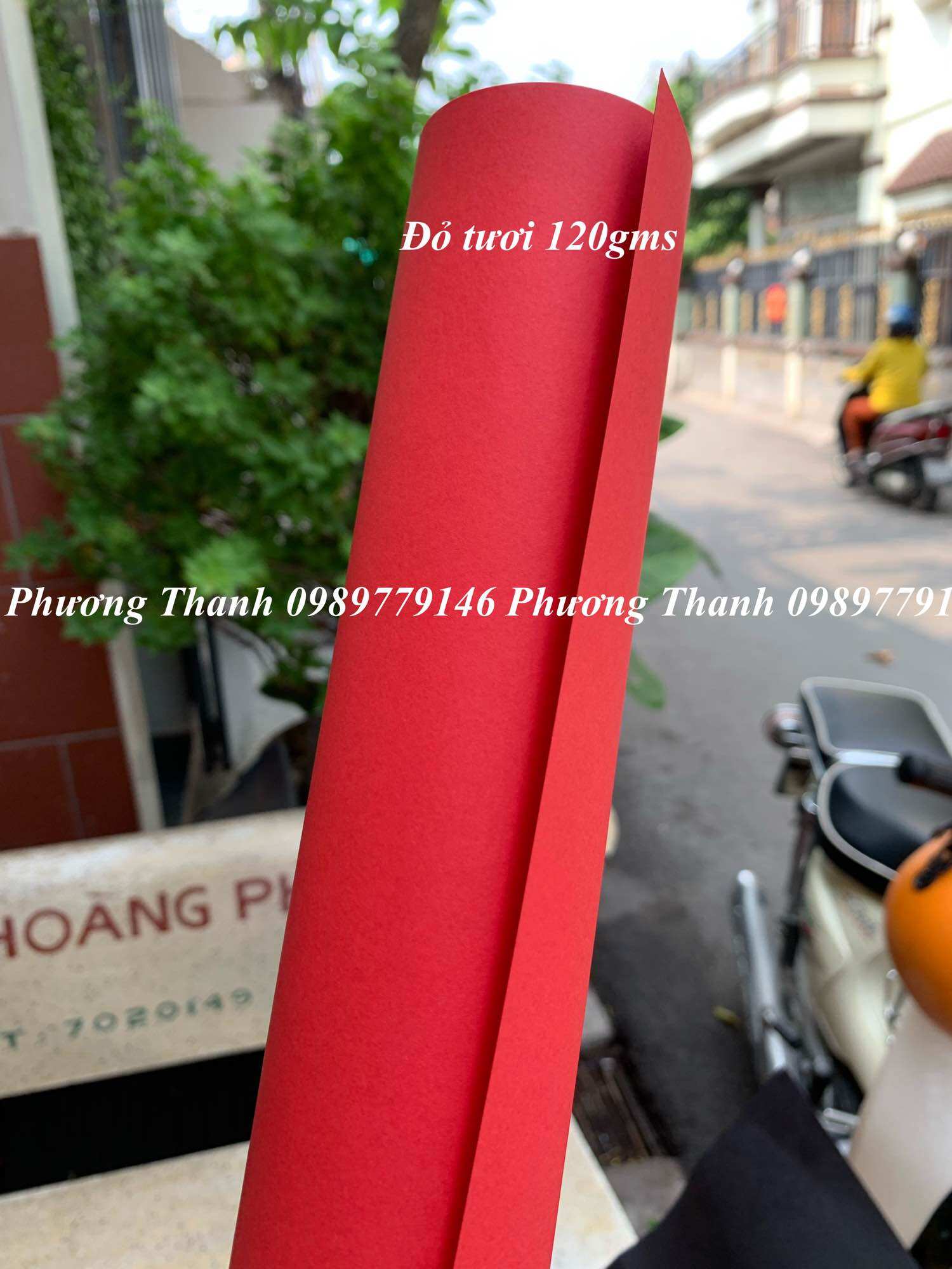 Giấy Mỹ Thuật Tone đỏ, khổ lớn
