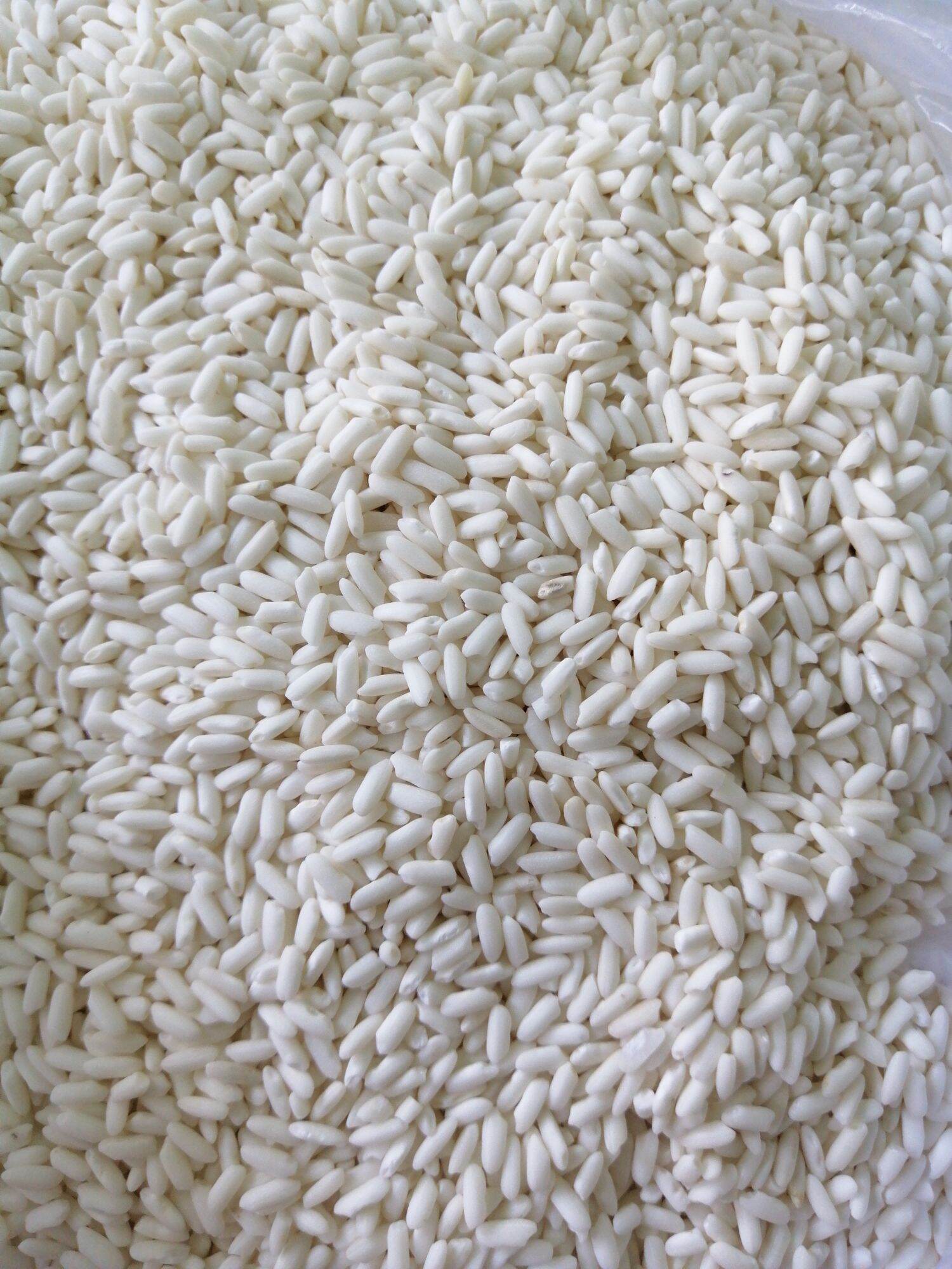 1 Kg ​  Nếp Lào