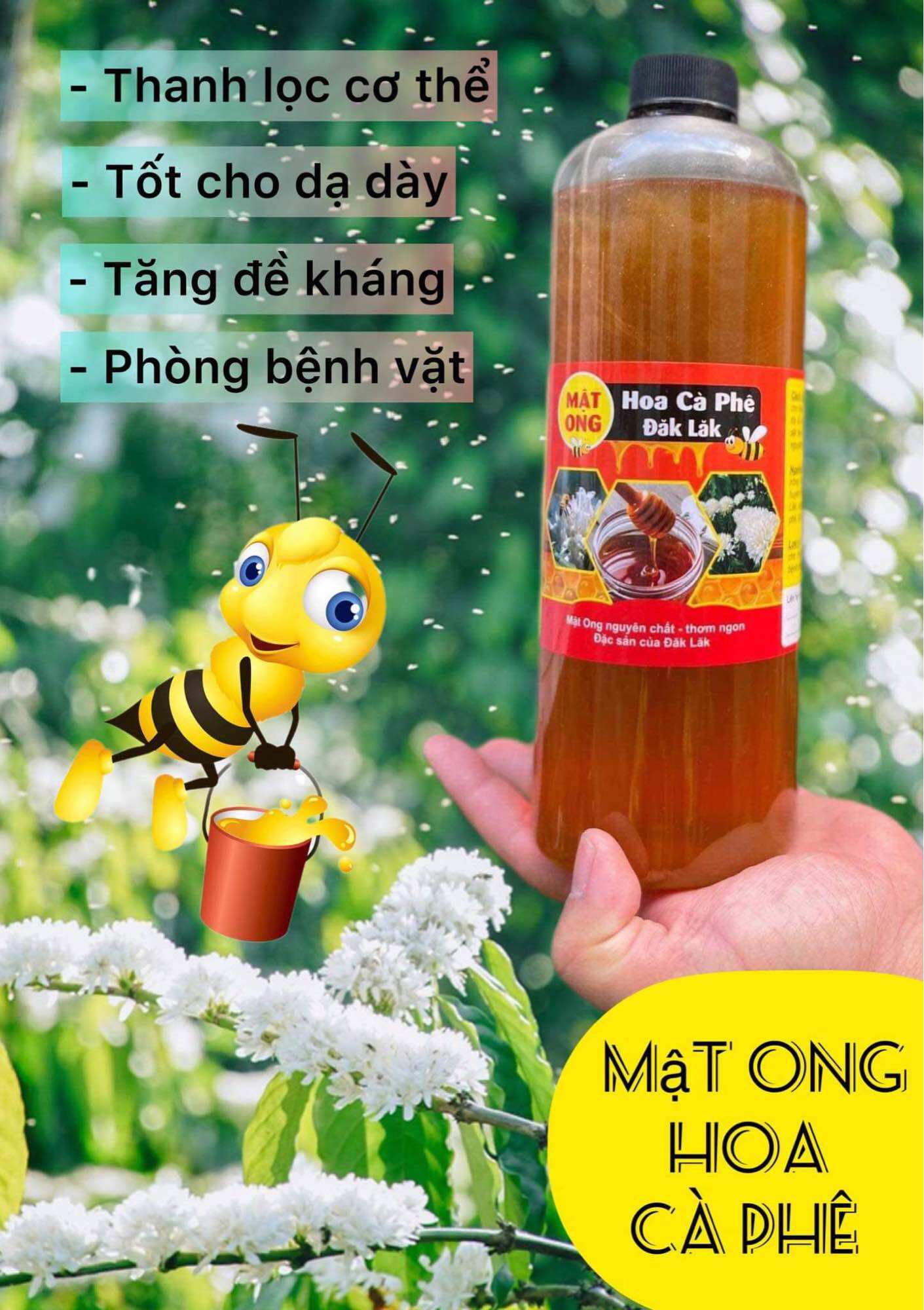 Mật Ong Hoa Cà Phê Daklak