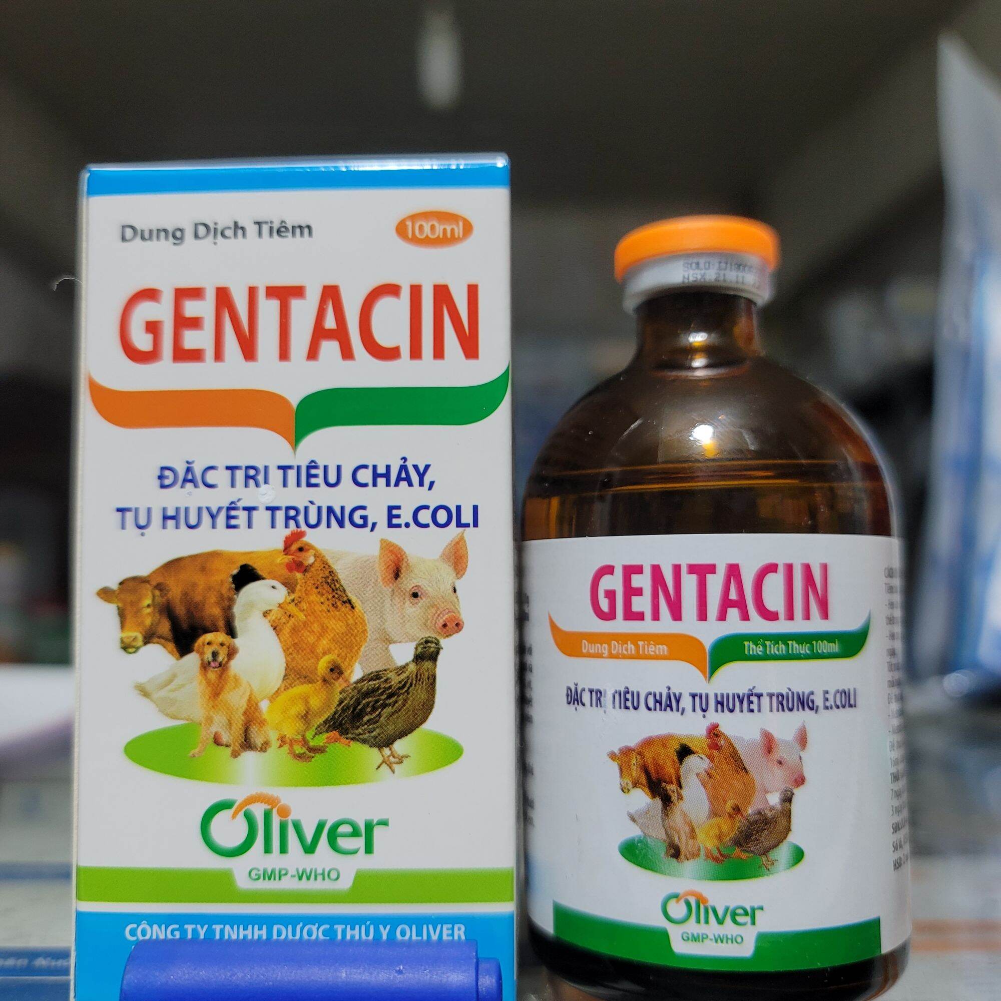 Chai Gentacin Đặc Tri Tiêu Chảy, Tụ Huyết Trùng, Ecoli ở Thú Cưng