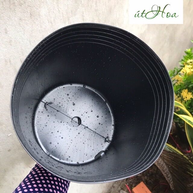 Chậu Nhựa Đen C9 Bít Lỗ (22X17Cm) Trồng Sen, Tách Form Cá Betta