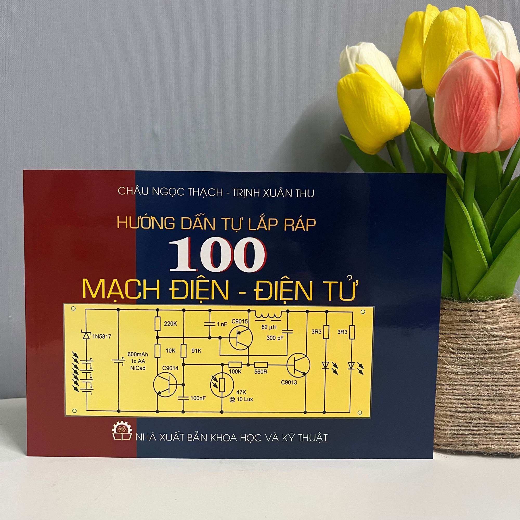Hướng Dẫn Tự Lắp Ráp 100 Mạch Điện - Điện Tử