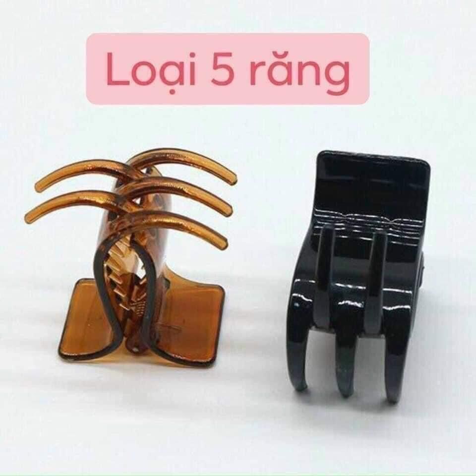 Set 12 kẹp tóc 5 răng