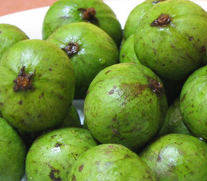 1kg quả sấu tươi