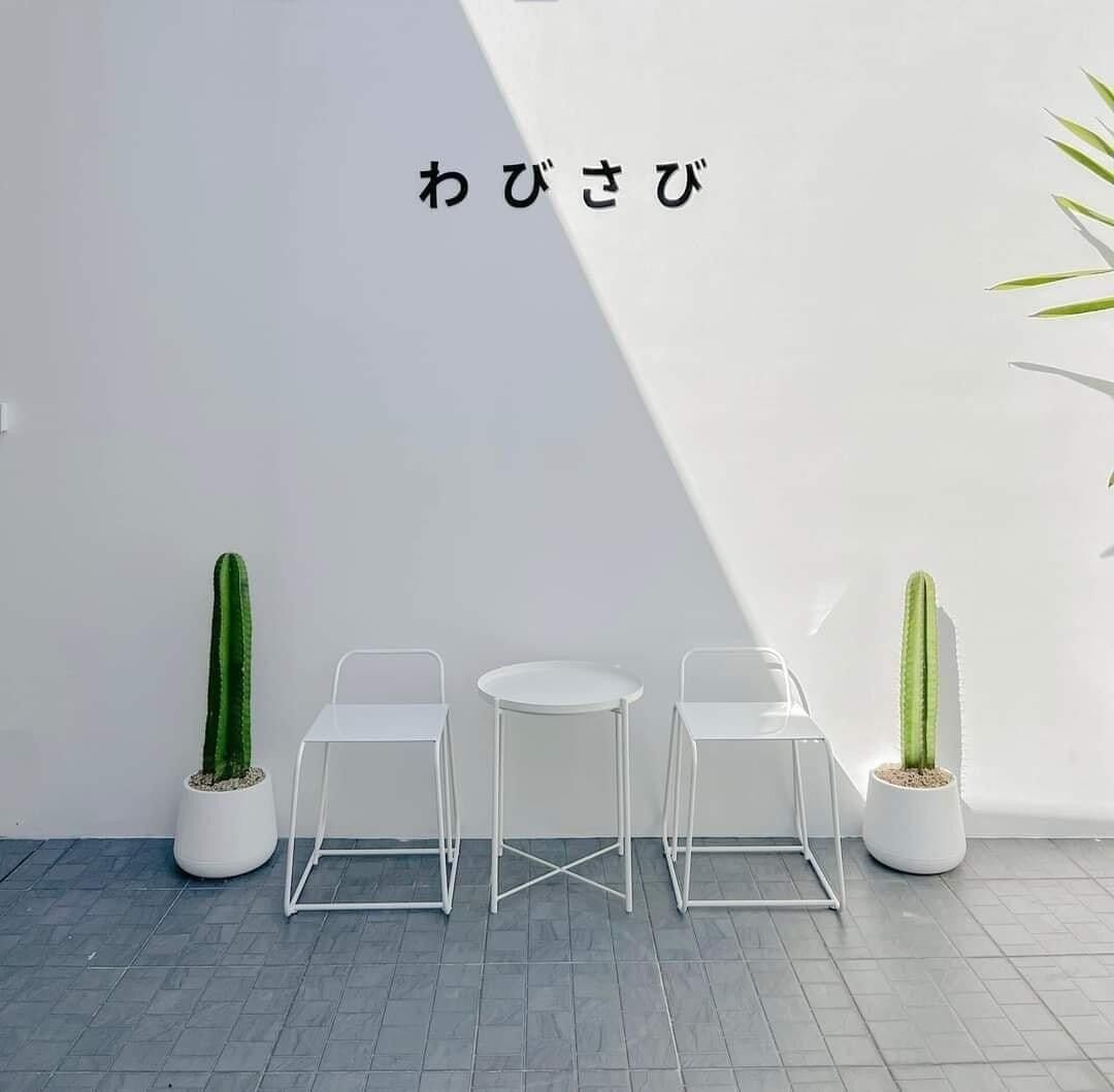 Xương rồng trụ xanh trang trí