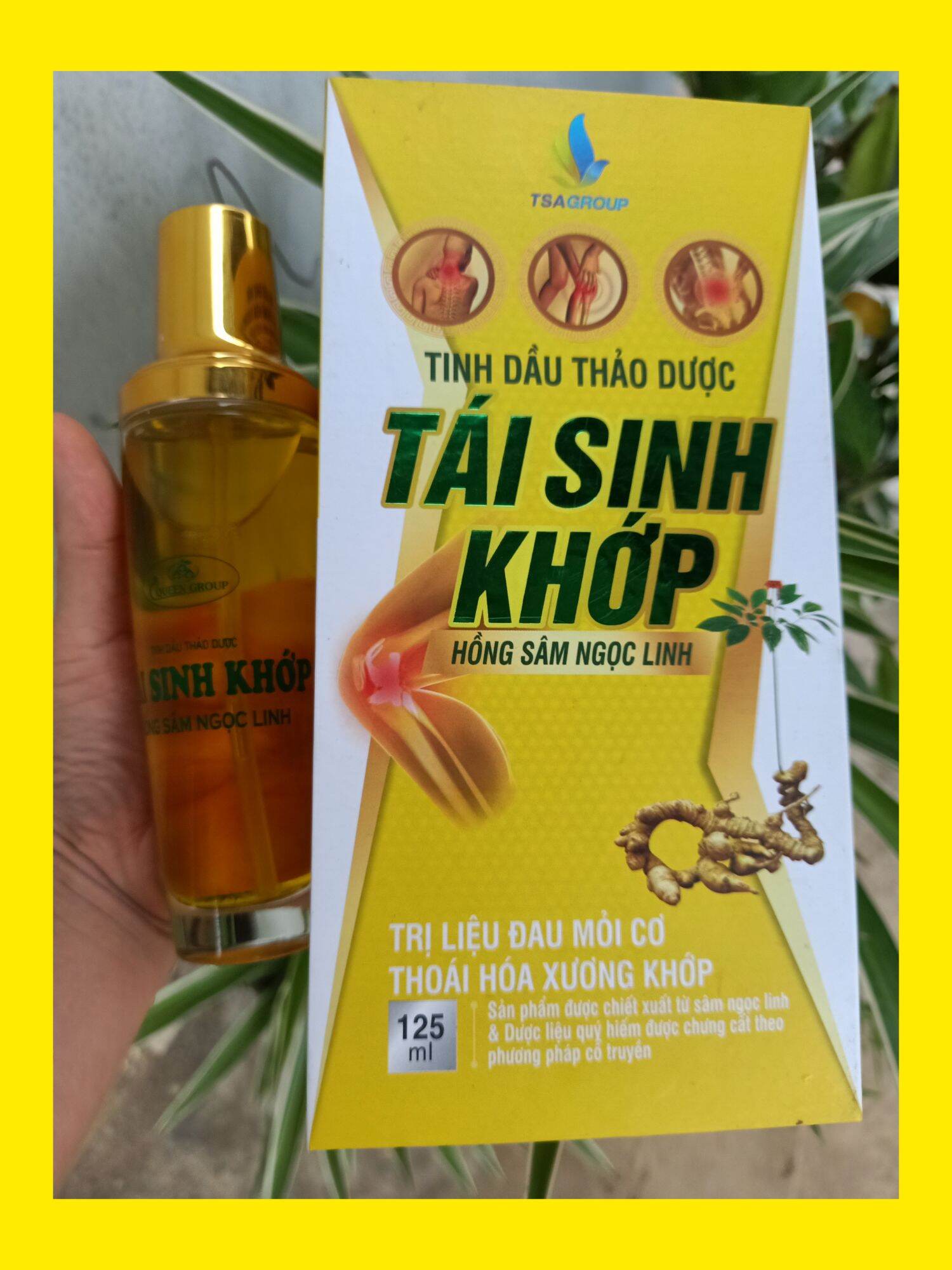 Tinh dầu thảo dược tái sinh khớp hồng sâm Ngọc Linh