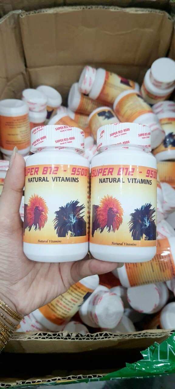 B12 9500 hủ 100v hừng gà tốt cho gà