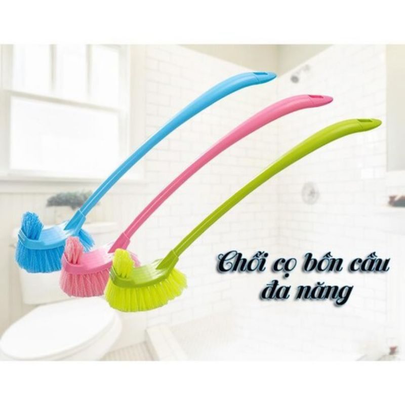 Cọ chà Tolet
