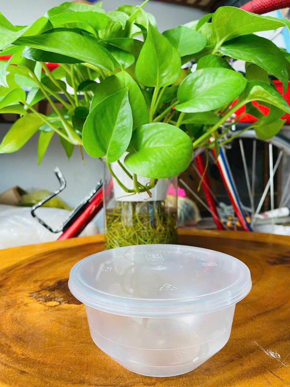 [FreeShip Max] Lốc 50 thố chè 250ml (kèm nắp)
