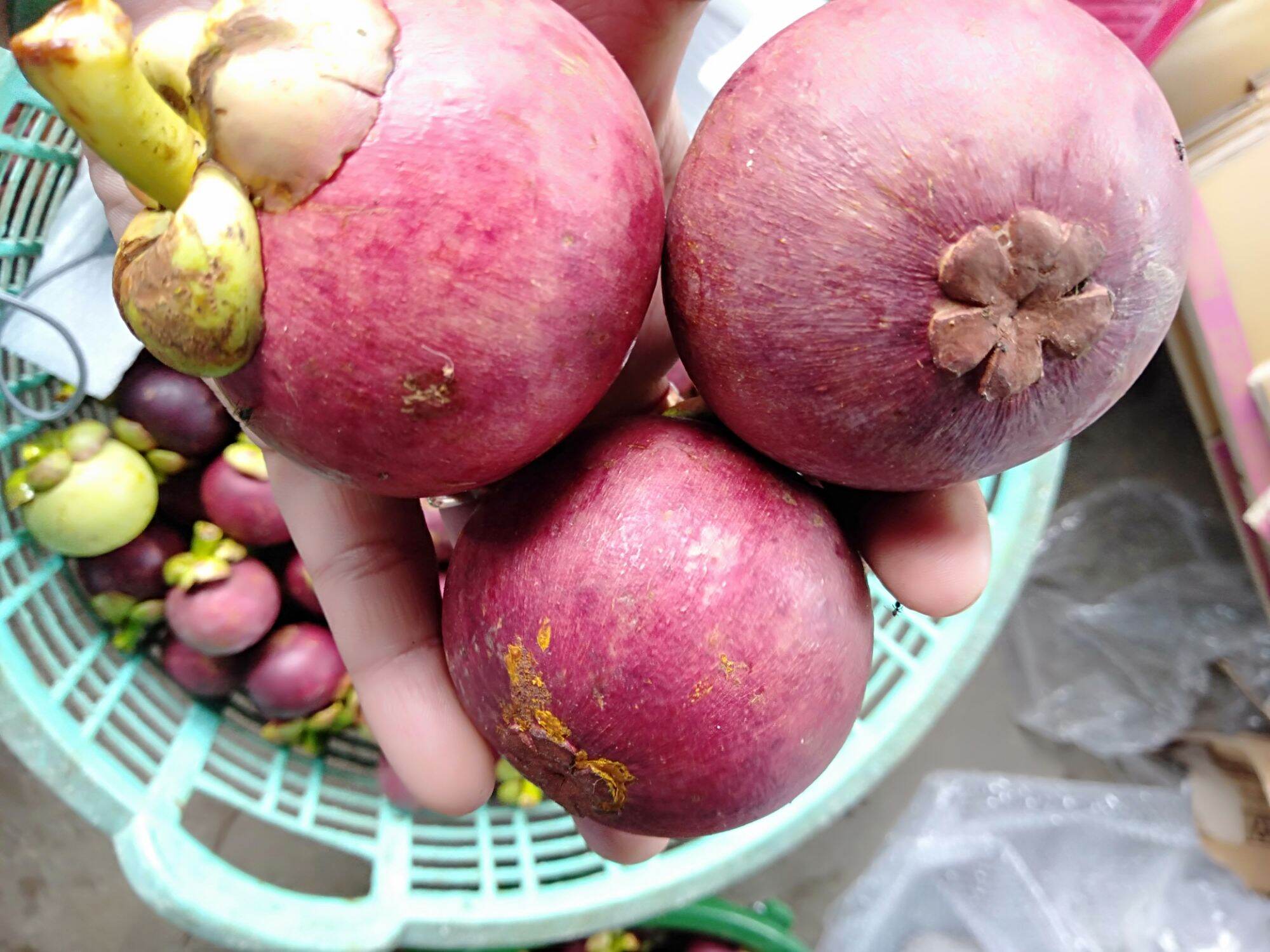 Mangosteen Winee Handmd