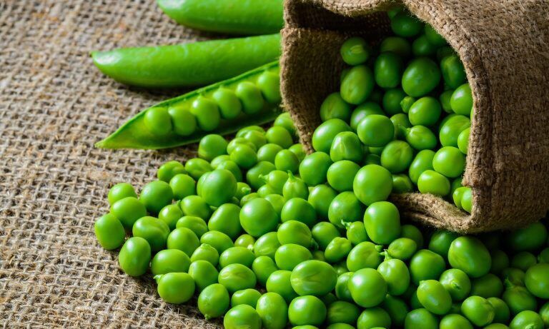 Hạt giống Đậu Hà Lan ăn quả nảy mầm tốt
