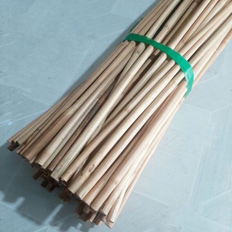 CÂY MÂY DẺO DAI