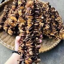 500 gr Nấm Hương Tây Bắc
