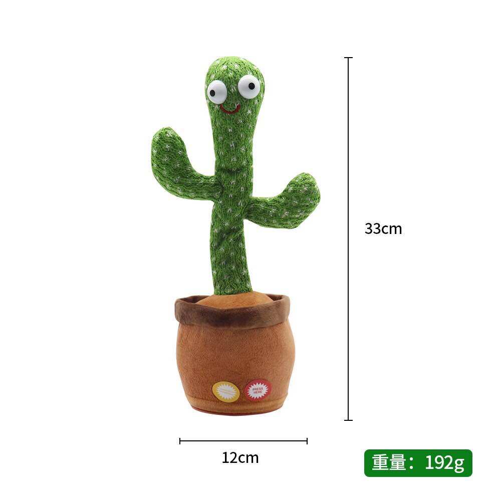 CÂY XƯƠNG RỒNG NHẢY MÚA